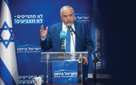 אביגדור ליברמן (צילום: יונתן זינדל פלאש 90)