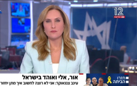 קרן מרציאנו בשידור (צילום: צילום מסך חדשות 12)