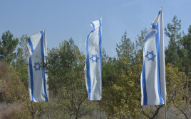 פילוגים בחברה הישראלית וחזון העתיד (צילום: FREEPIK)