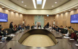 ועדת הכלכלה (צילום: דני שם טוב, דוברות הכנסת)