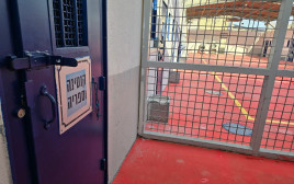 פרויקט שב"ס  (צילום: שב"ס)