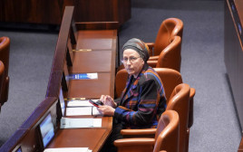 אורית סטרוק  (צילום: דני שם טוב, דוברות הכנסת)
