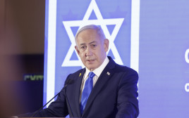 ראש הממשלה בנימין נתניהו (צילום: מרק ישראל סלם)