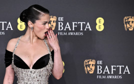 סלינה גומז (צילום: BEN STANSALL/AFP via Getty Images)