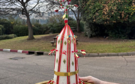 קערת האירוסין המסורתית של סבתה מאפגניסטן (צילום: מוזיאון ישראל)