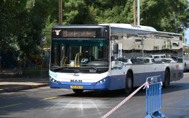 אוטובוסים בגוש דן (צילום: אבשלום ששוני)