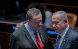 בנימין נתניהו וישראל כ"ץ (צילום: חיים גולדברג/פלאש 90)