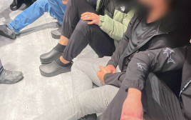 מעצר שב"חים (צילום: דוברות המשטרה)