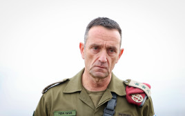 הרצי הלוי (צילום: דוד כהן, פלאש 90)