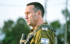 הרצי הלוי (צילום: פלאש 90)