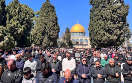 הר הבית (צילום: רשתות ערביות)
