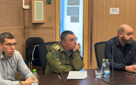 ישיבת ועדת המשנה למדיניות חוץ והסברה של ועדת החוץ והביטחון (צילום: יח"צ)
