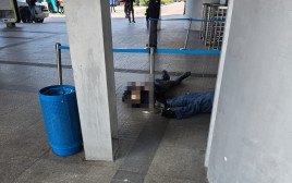 פיגוע בחיפה (צילום: צילום מסך רשתות חברתיות לפי חוק 27א לזכויות יוצרים)