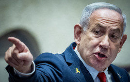 בנימין נתניהו (צילום: חיים גולדברג/פלאש 90)