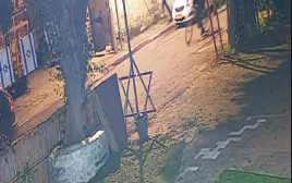 מהומות ברמלה (צילום: צילום מסך)