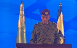 הרצי הלוי (צילום: אבי אשכנזי)