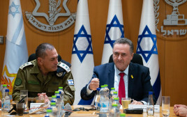 ישראל כ"ץ, אייל זמיר (צילום:  אריאל חרמוני, משרד הביטחון)