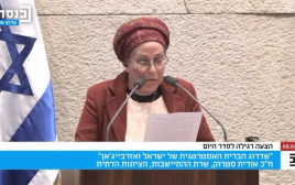 אורית סטרוק בדיון בנושא שדרוג הברית האסטרטגית בין ישראל לאזרבייג'ן (צילום: דוברות הכנסת)