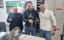 הקוף שאותר בנגב (צילום: דוברות המשטרה)