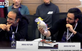 יותם כהן, אחיו של החטוף נמרוד כהן מעניק לשר שיקלי פיתה עטופה בסרט צהוב (צילום: דוברות הכנסת)