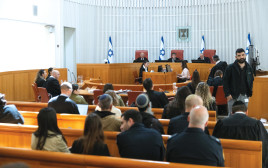 דיון בבית המשפט העליון  (צילום: חיים גולדברג, פלאש 90)