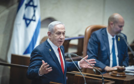 נתניהו בכנסת (צילום: חיים גולדברג פלאש 90)
