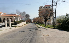החיסול ברג'יון שבדרום לבנון (צילום: רשתות ערביות)