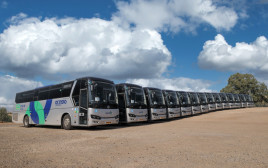 סופרבוס (צילום: רונן טופלברג)