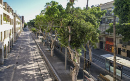 שדרות ירושלים בתל אביב (צילום: עיריית תל אביב – יפו וחברת נת"ע)