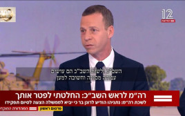 עמית סגל (צילום: צילום מסך ערוץ 12)