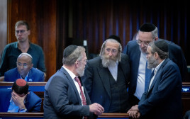 יהדות התורה (צילום: חיים גולדברג, פלאש 90)