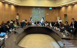 הדיון על התקציב בוועדת הכספים (צילום: ללא)