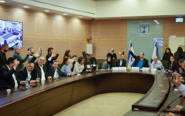 הדיון בועדת החוקה  (צילום: נועם מושקוביץ דוברות הכנסת)