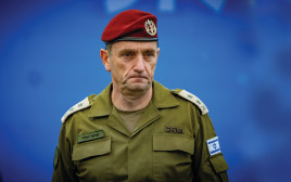 הרצי הלוי (צילום: יונתן זינדל, פלאש 90)