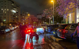 חיסול בפתח תקווה (צילום: מד"א)