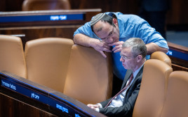 יריב לוין ושמחה רוטמן (צילום: חיים גולדברג, פלאש 90)