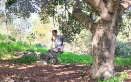 זולה ביער ברקת (צילום: איציק בן דב, החברה להגנת הטבע)