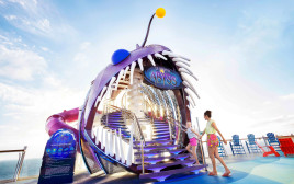 המגלשה הגבוהה ביותר על אניית הקרוזים Allure of the Seas  (צילום: יח"צ)