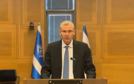 יריב לוין  (צילום: התנועה למשילות ודמוקרטיה)