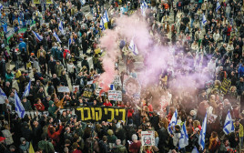 הפגנה פוליטית (צילום: אבשלום ששוני, פלאש 90)