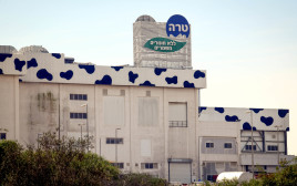 מחלבת טרה ליד נתיבות (צילום: פלאש 90)