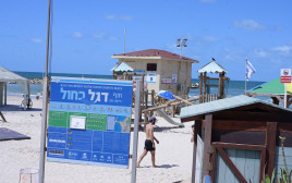 חוף הילטון (צילום: אורי שיק)