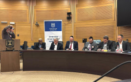ישראל במרכז המאבק הגיאופוליטי העולמי החדש (צילום: איליה מריאחין, דור מוריה)