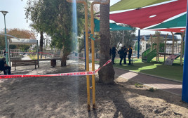 זירת רצח קשישה באילת (צילום: דוברות המשטרה)