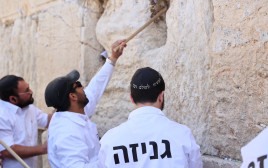 איסוף הפתקים מהכותל לגניזה (צילום: הקרן למורשת הכותל המערבי)
