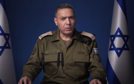 דובר צה"ל אפי דפרין  (צילום: צילום מסך)