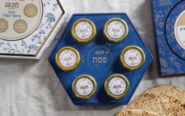 גולדיס  - צלחת ברכות לליל הסדר (צילום: יח"צ)