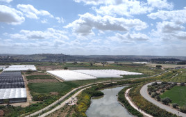 נחל תאנים המחודש  (צילום: מועצה אזורית לב השרון)