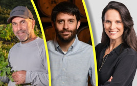 דלית רביב, מיכאל גינוסר, יהודה כמיסה (צילום: רמי זרנגר,אילן מרגולין,יואב דודקביץ')
