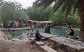 עינות צוקים   (צילום: רינת רוסו, רשות הטבע והגנים)
